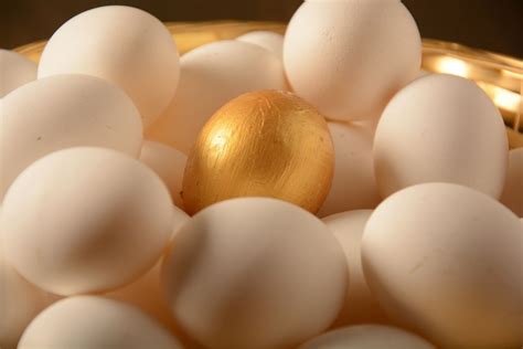 Here’s What Makes Jumbo Ticket a Unique Online Lottery Site.